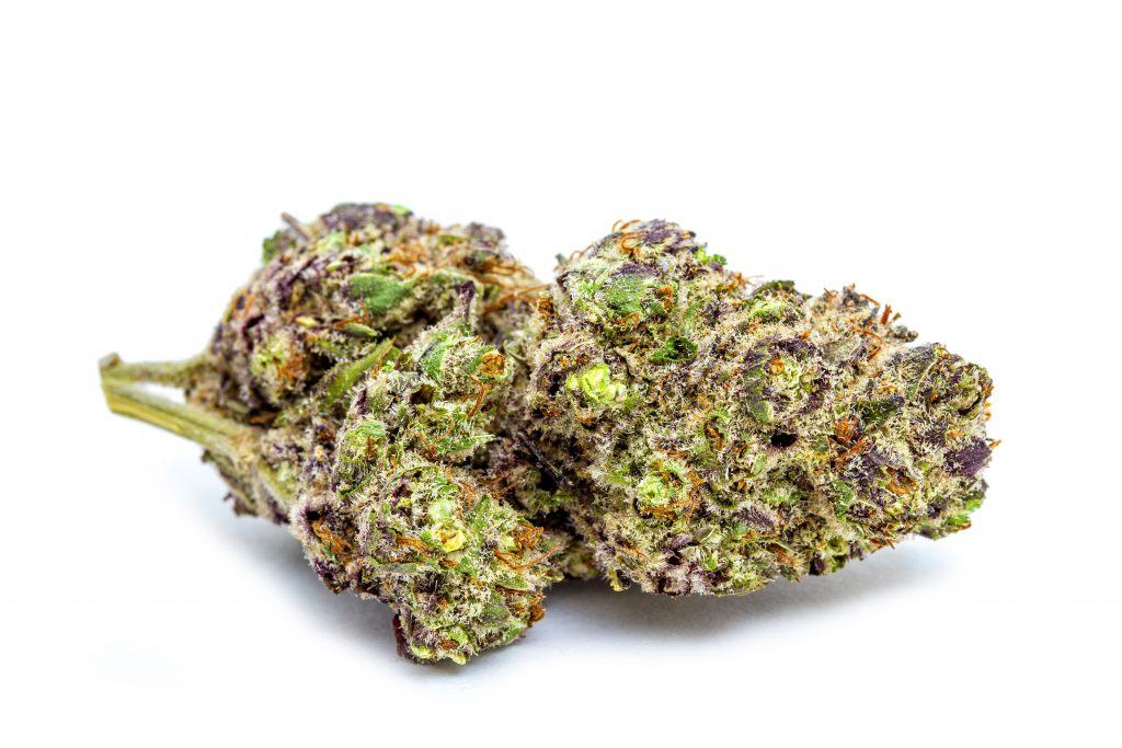 紫蘭博麻（Purple Lamborghini）