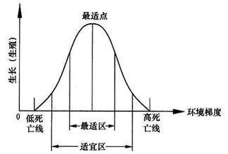 萌發種子和儲存種子——從零單種（8）