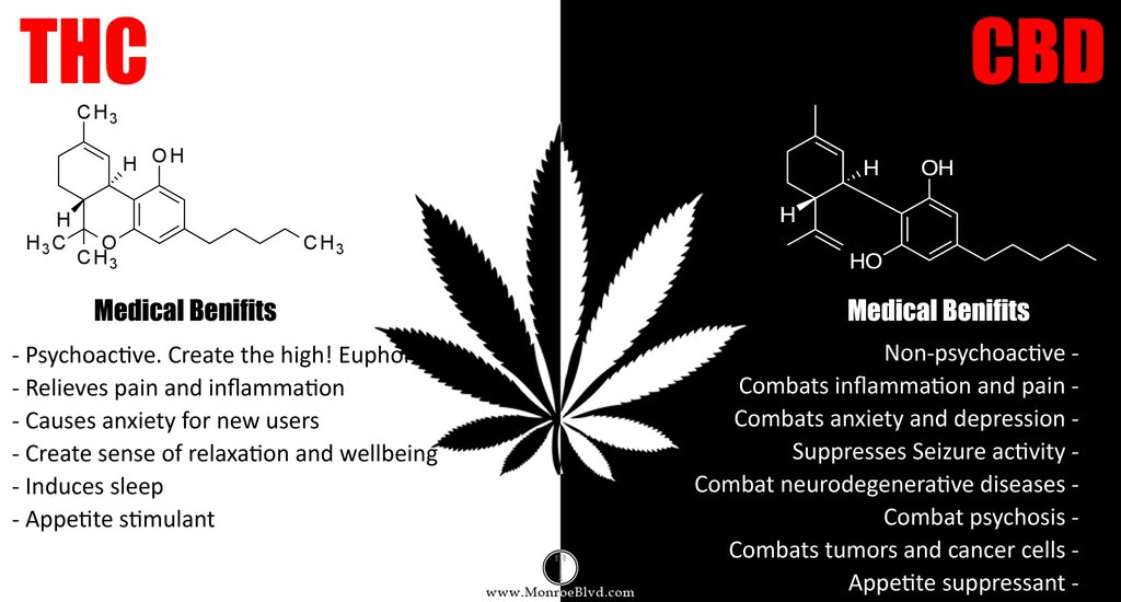 什麼是THC？四氫大麻酚的科學指南