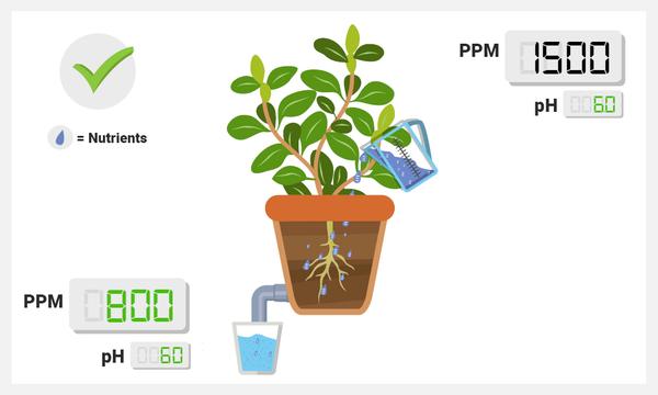 職業種植戶的必修課-徑流測試 Runoff test 經流水