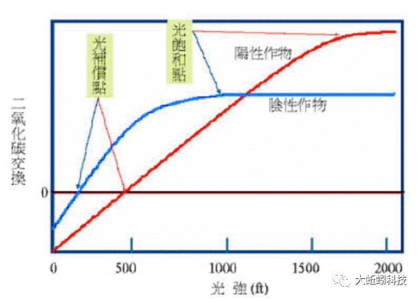 亞當推薦室內打花專業測光儀器，立省一半電費提高一倍產量– 種植大麻必備的科技產品系列